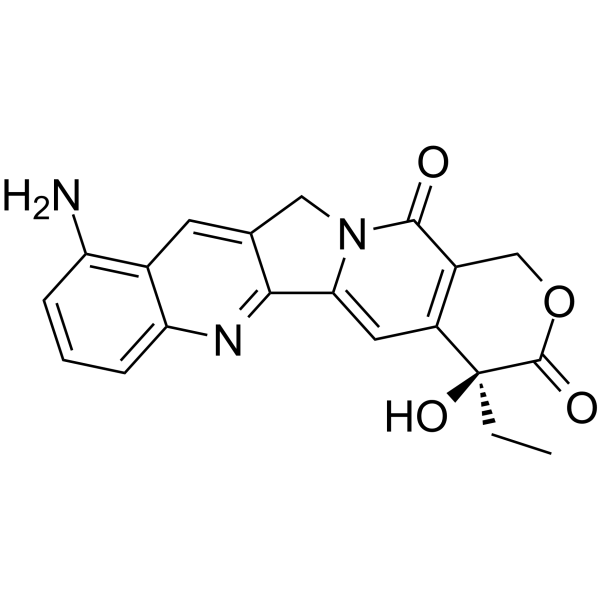 9-amino-CPT(Synonyms: 9-氨基喜树碱; 9-amino-20(S)-camptothecin)