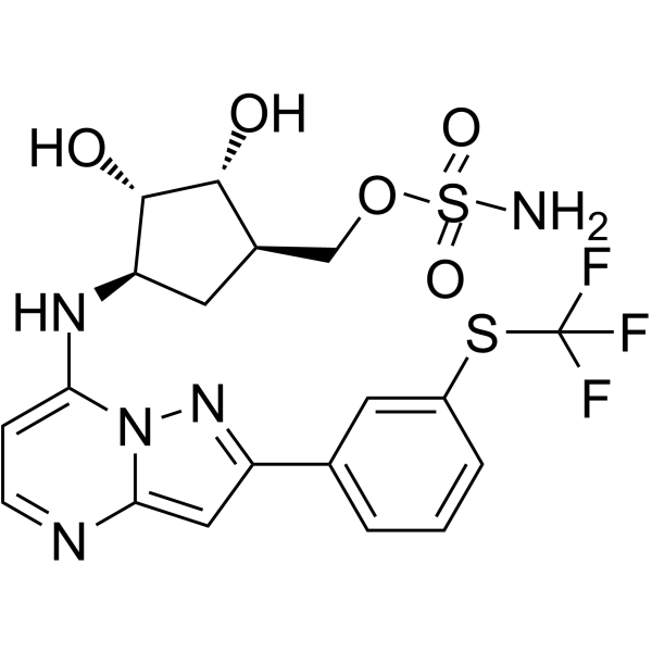 TAK-243(Synonyms: MLN7243)