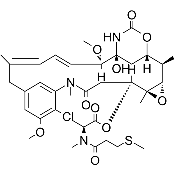S-methyl DM1