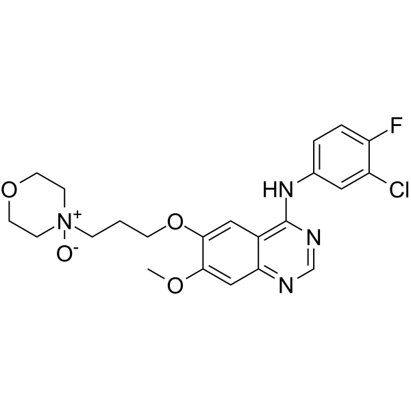 Gefitinib N-oxide Chemical Structure Gefitinib N-oxide