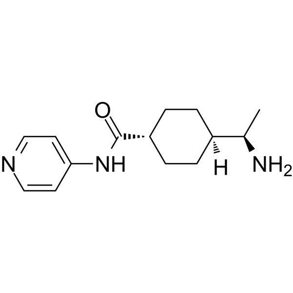 Y-27632 Chemical Structure Y-27632
