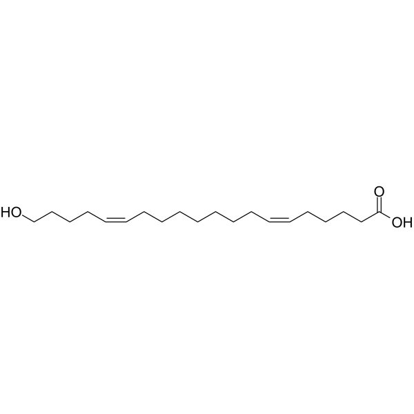 20-HEDE(Synonyms: WIT 002)