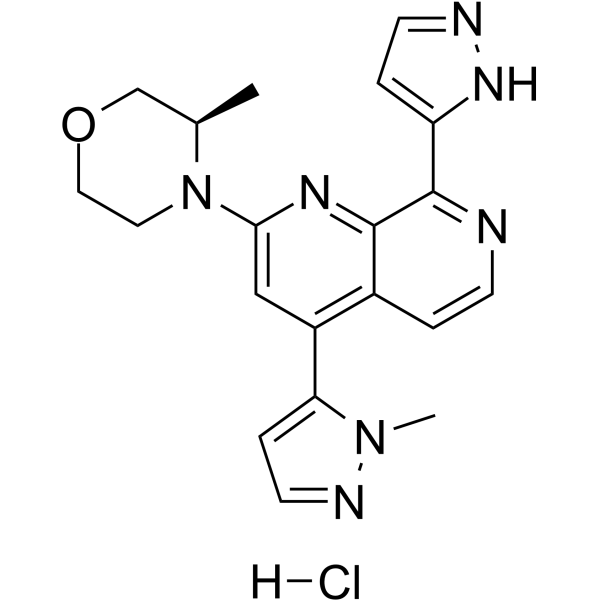 Elimusertib hydrochloride(Synonyms: BAY 1895344 hydrochloride)