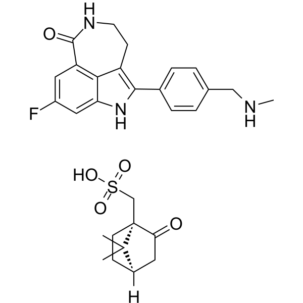 Rucaparib monocamsylate(Synonyms: 瑞卡帕布樟脑磺酸盐; AG014699 monocamsylate; PF-01367338 monocamsylate)