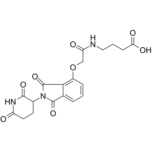 Thalidomide-O-amido-C3-COOH(Synonyms: Cereblon Ligand-Linker Conjugates 7;  E3 ligase Ligand-Linker Conjugates 15)