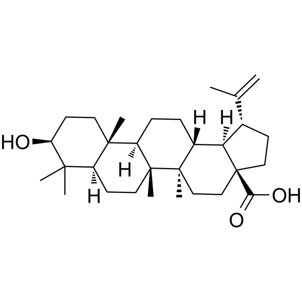Betulinic acid(Synonyms: 白桦脂酸; Lupatic acid;  Betulic acid)