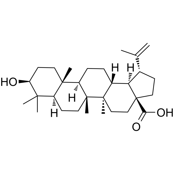 Betulinic acid Chemical Structure Betulinic acid(Synonyms: 白桦脂酸; Lupatic acid; Betulic acid)