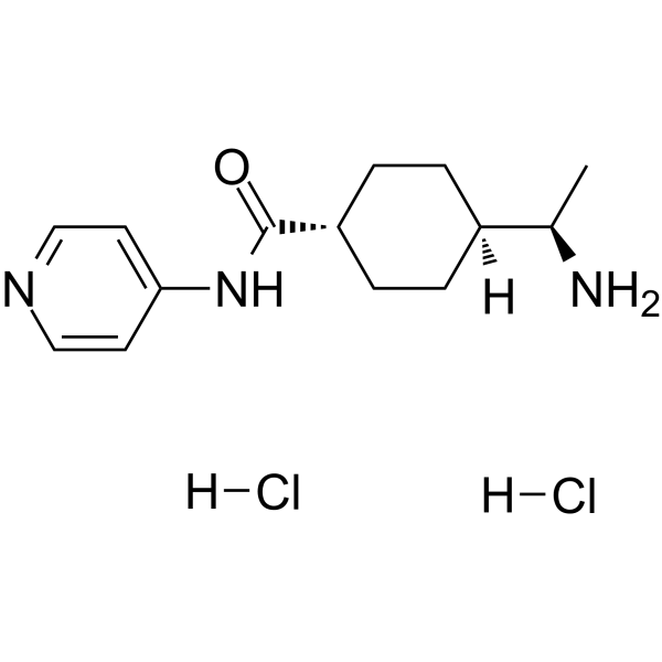 Y-27632 dihydrochloride Chemical Structure Y-27632 dihydrochloride
