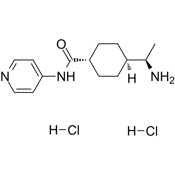 Y-27632 dihydrochloride