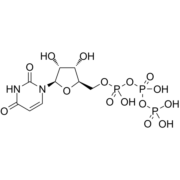 Uridine triphosphate Chemical Structure Uridine triphosphate(Synonyms: 三磷酸尿苷; UTP; Uridine 5