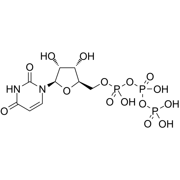 Uridine triphosphate(Synonyms: 三磷酸尿苷; UTP;  Uridine 5