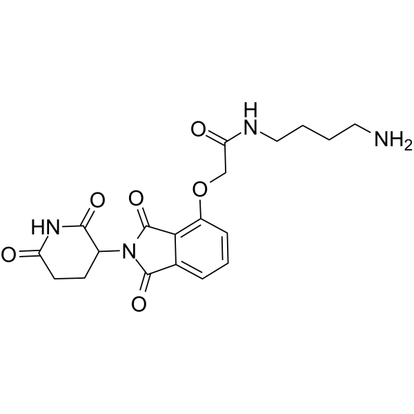 Thalidomide-O-amido-C4-NH2 Chemical Structure Thalidomide-O-amido-C4-NH2(Synonyms: Cereblon Ligand-Linker Conjugates 6; E3 Ligase Ligand-Linker Conjugates 19)