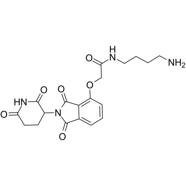 Thalidomide-O-amido-C4-NH2(Synonyms: Cereblon Ligand-Linker Conjugates 6;  E3 Ligase Ligand-Linker Conjugates 19)