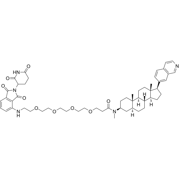 JH-XI-10-02