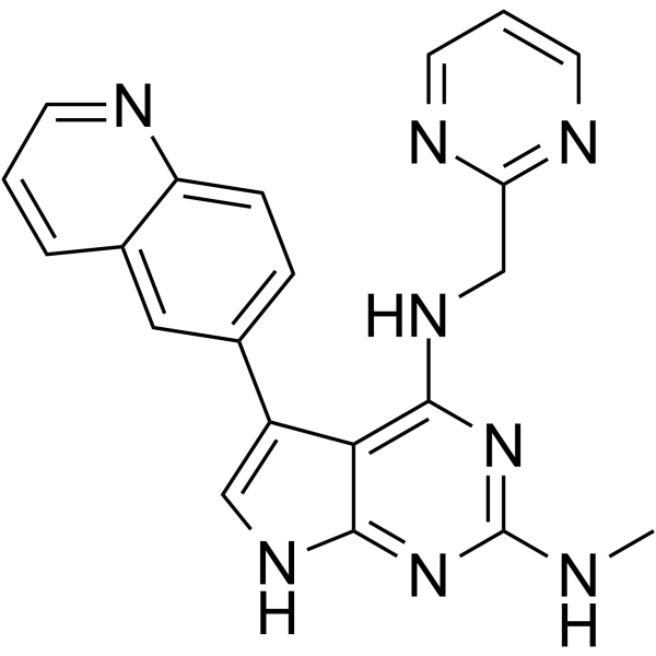 T025