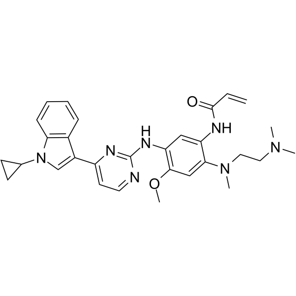 Almonertinib(Synonyms: 阿美替尼; HS-10296)