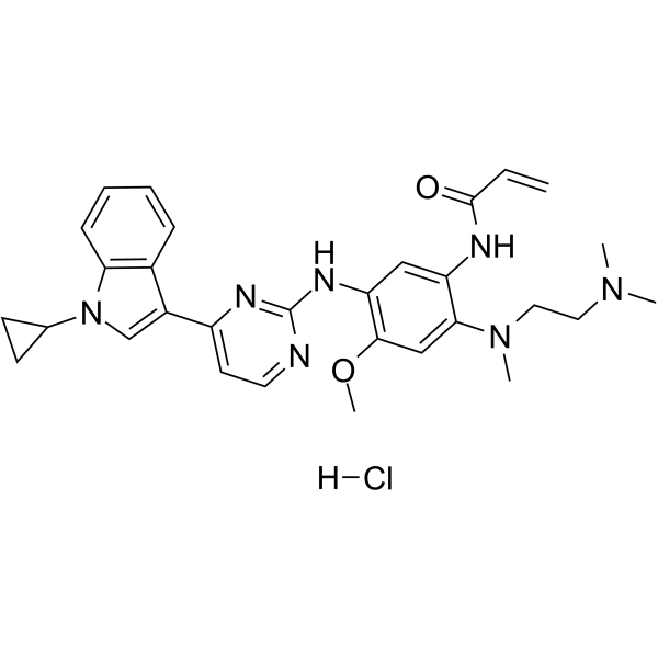 Almonertinib hydrochloride(Synonyms: 盐酸阿美替尼; HS-10296 hydrochloride)