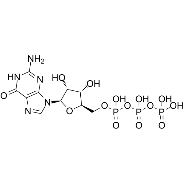 Guanosine triphosphate(Synonyms: GTP)