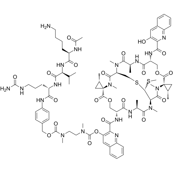 AcLysValCit-PABC-DMAE-SW-163D Chemical Structure AcLysValCit-PABC-DMAE-SW-163D