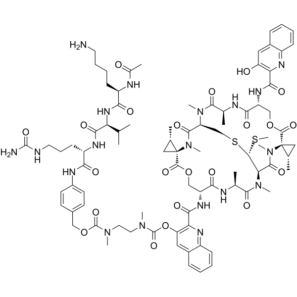 AcLysValCit-PABC-DMAE-SW-163D