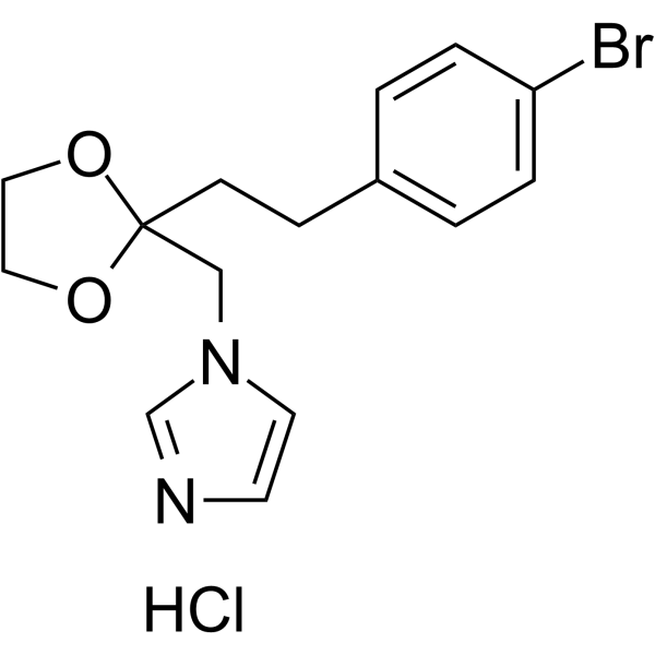 OB-24