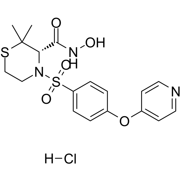 Prinomastat hydrochloride(Synonyms: AG3340 hydrochloride; KB-R9896 hydrochloride)