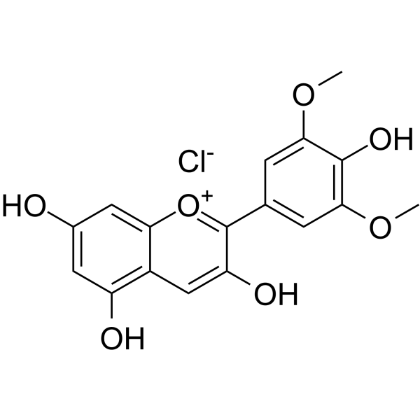 Malvidin chloride(Synonyms: Syringidin)