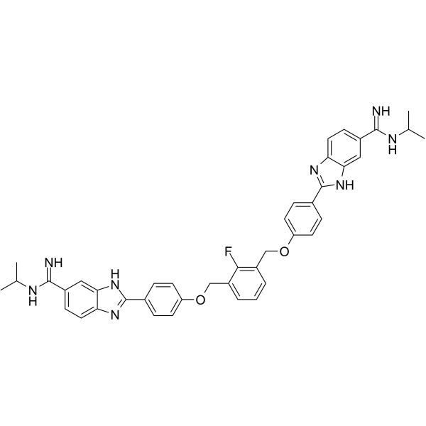 DB2313