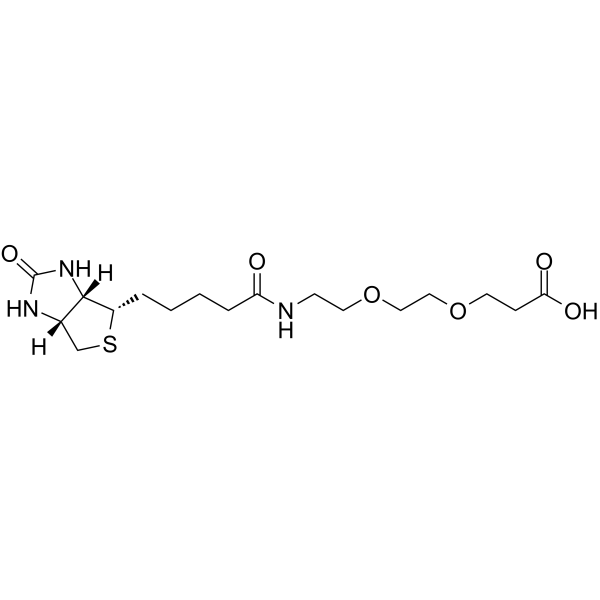 Biotin-PEG2-acid