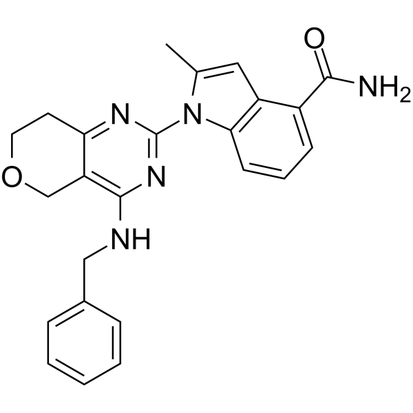 CB-5083