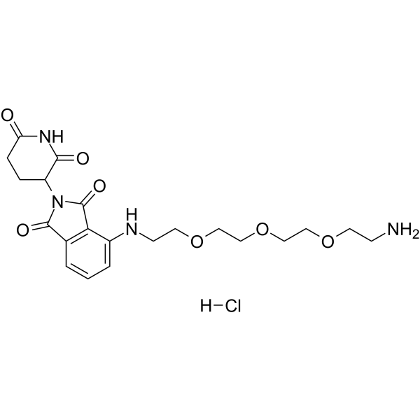 Pomalidomide-PEG3-C2-NH2 hydrochloride(Synonyms: Cereblon Ligand-Linker Conjugates 5 hydrochloride; E3 ligase Ligand-Linker Conjugates 30 hydrochloride)