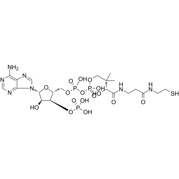 Coenzyme A Chemical Structure Coenzyme A(Synonyms: 辅酶 A)