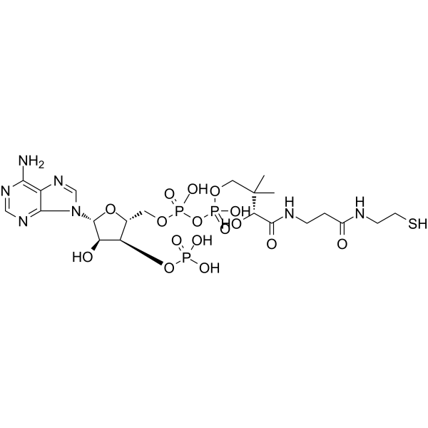 Coenzyme A(Synonyms: 辅酶 A)