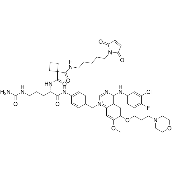 MC-Sq-Cit-PAB-Gefitinib