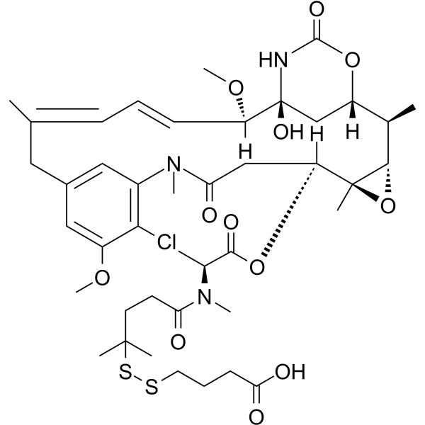 DBA-DM4