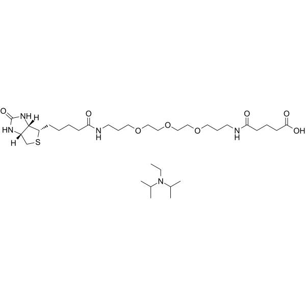 Biotinyl-NH-PEG3-C3-amido-C3-COOH (DIPEA)