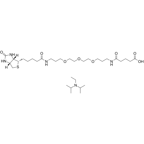 Biotinyl-NH-PEG3-C3-amido-C3-COOH (DIPEA) Chemical Structure Biotinyl-NH-PEG3-C3-amido-C3-COOH (DIPEA)