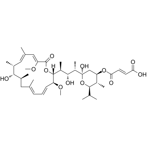 Bafilomycin C1(Synonyms: 巴菲霉素C1)