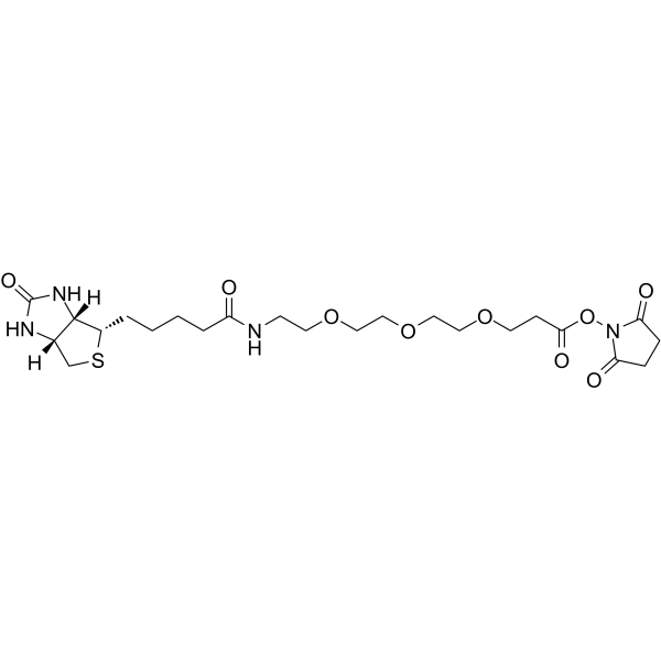 Biotin-PEG3-NHS ester Chemical Structure Biotin-PEG3-NHS ester