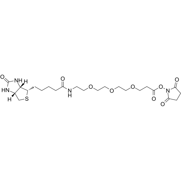 Biotin-PEG3-NHS ester