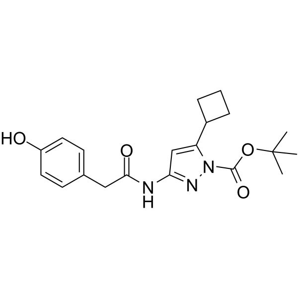 CDK9-IN-11