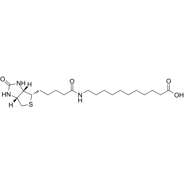 (+)-Biotin-SLC