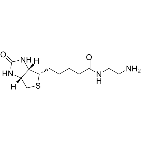 Biotin-EDA