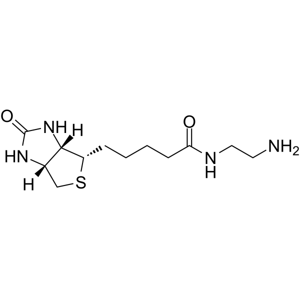 Biotin-EDA Chemical Structure Biotin-EDA