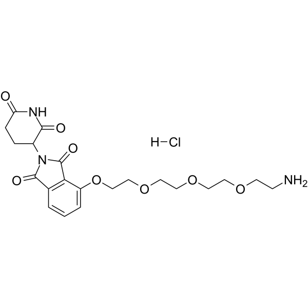 Thalidomide-PEG4-NH2 hydrochloride