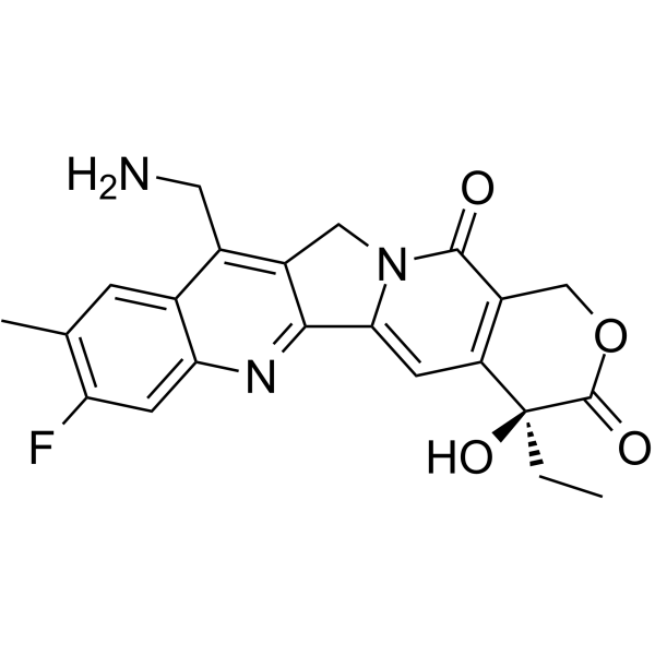 7-Aminomethyl-10-methyl-11-fluoro camptothecin