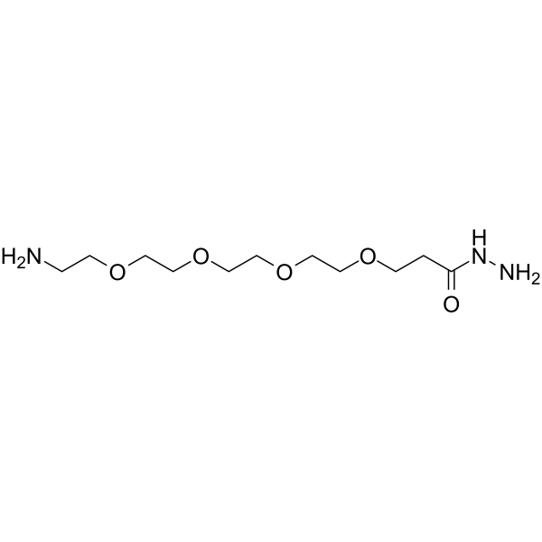 H2N-PEG4-Hydrazide Chemical Structure H2N-PEG4-Hydrazide