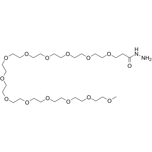 m-PEG13-Hydrazide Chemical Structure m-PEG13-Hydrazide
