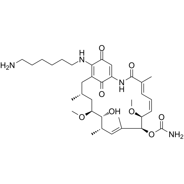 Aminohexylgeldanamycin(Synonyms: AHGDM)