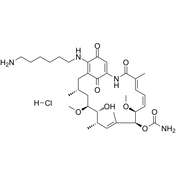 Aminohexylgeldanamycin hydrochloride(Synonyms: AHGDM hydrochloride)